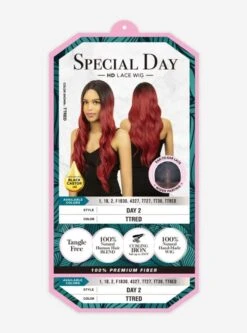 R&B Collection Human Hair Blended Lace Wig - DAY 2 -Wig Shop day24m