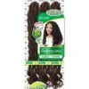 Beshe 3X Feather Lite Pre-Looped GODDESS LOCS Crochet Braid 18 C.GLOC318