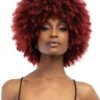 Janet Collection Natural Curly Premium Synthetic Wig - KANE -Wig Shop kane6m
